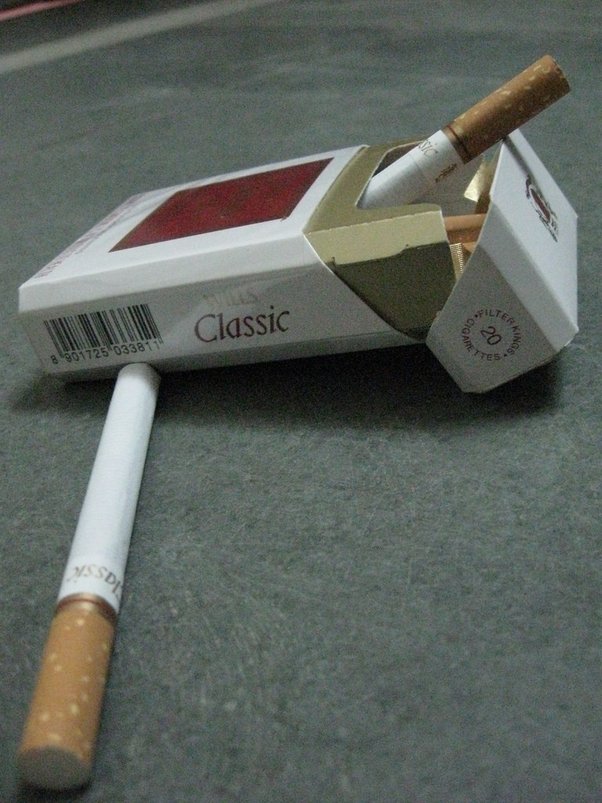 Top 10 Best Cigarette Brands in India 2024