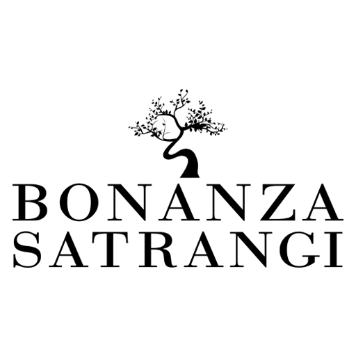 dress brands in pakistan