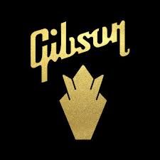 acoustic guitar best brands