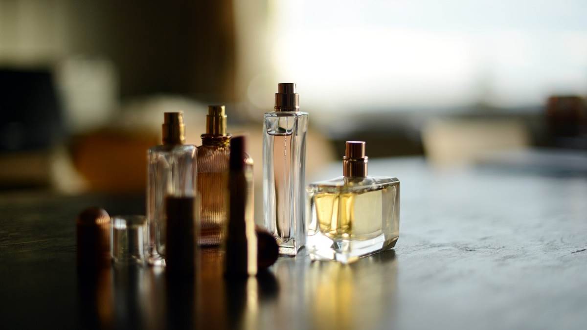 Best Perfume Brands for Men 2024